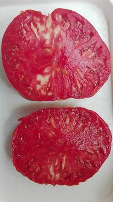 paradajky - Obrázok č. 1