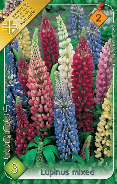 Lupinus Mix - 3 kusy - Obrázok č. 1