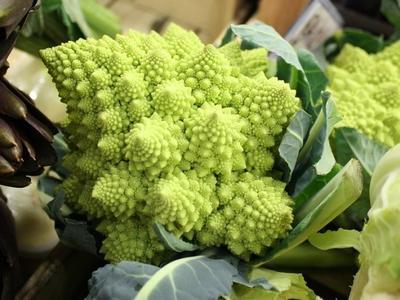 Romanesco brokolica - Obrázok č. 1