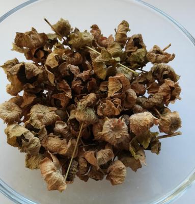 Slez maursky semienka - Obrázok č. 1