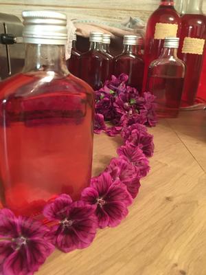 Slez maursky sirup - Obrázok č. 1