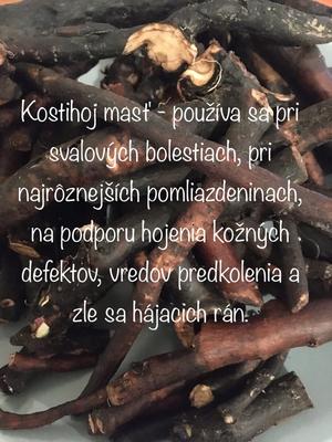 Kostihoj lekársky masť a tinktura - Obrázok č. 1