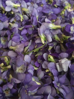 Fialkova masť - Obrázok č. 1