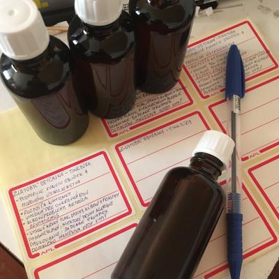 Zlatobyl obyčajná - Obrázok č. 1