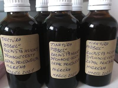 Podbeľ -tinktura - Obrázok č. 1