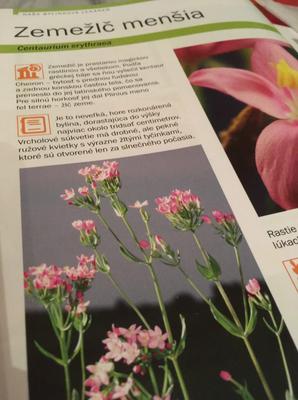 Zemežlč menšia -tinktura - Obrázok č. 1