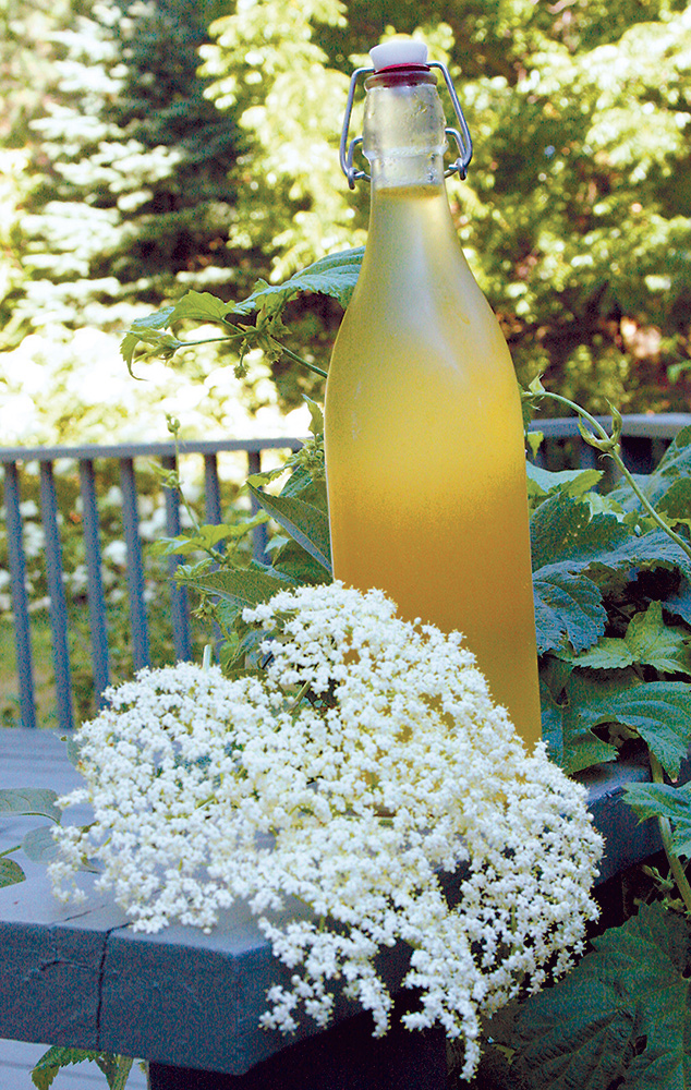 Bazový sirup