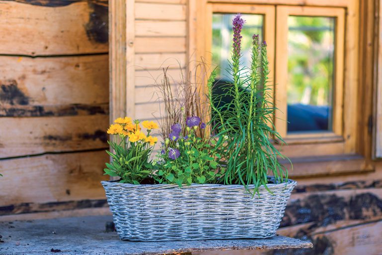 Osviežte balkón kvetinami, ktoré vydržia dlhé roky
