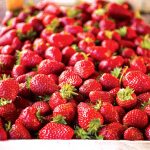 Pestujeme jahody v nádobách