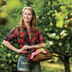 Odolné odrody jabloní