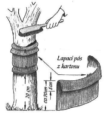 02_Pizl_vlnita_lepenka