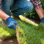 Ako si položiť trávny koberec