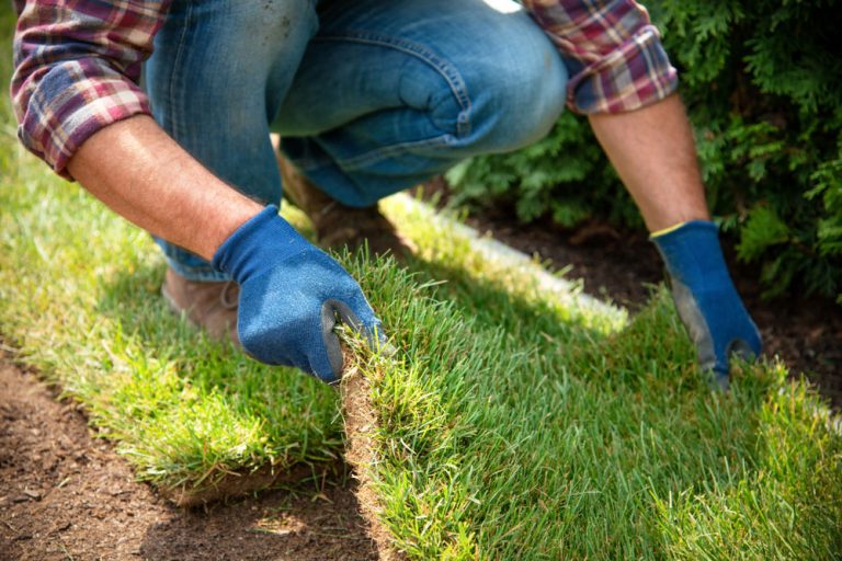 Krok za krokom: Ako si položiť kobercový trávnik svojpomocne