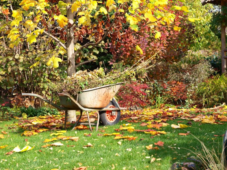 Kalendár záhradkára: Október v záhrade
