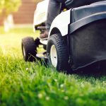 Trávnik na prahu leta