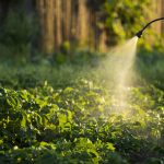 Zakročte proti škodcom bez použitia chémie