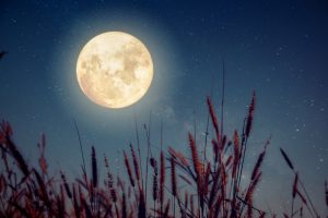 Lunárny kalendár pre záhradu a domácnosť - september 2017