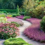 Túžite po záplave kvetov pri minimálnej starostlivosti? Založte si vresovisko