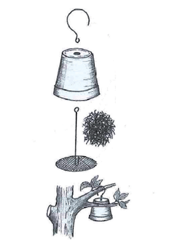 Hniezdo pre ucholakov