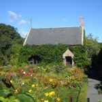 Symbiotická záhrada: Ako prilákať predátorov