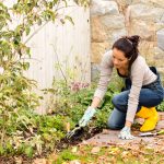 Jesenné upratovanie v kvetinovej záhrade