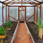 Kompletný návod: Vybudujme si záhradný fóliovník svojpomocne