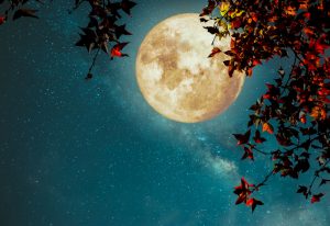 Lunárny kalendár pre záhradu a domácnosť - november 2017