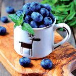 Odrody čučoriedok, ktoré nesklamú v žiadnej záhrade