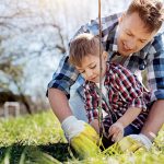 Čo by ste mali vedieť o výsadbe ovocných stromov