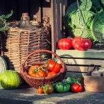 Ako vydrží uskladnená zelenina dlhšie