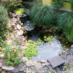 Ako správne zazimovať jazierko