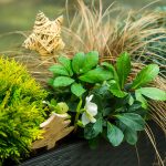 Balkón sa môže zelenať aj počas chladných dní