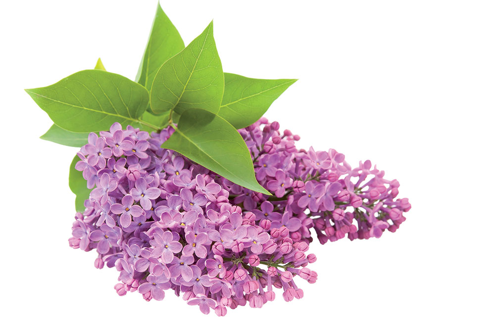 04_Thinkstock_114328652
