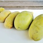 Počuli ste už pojem "banán severu"? Spoznajte asimínu