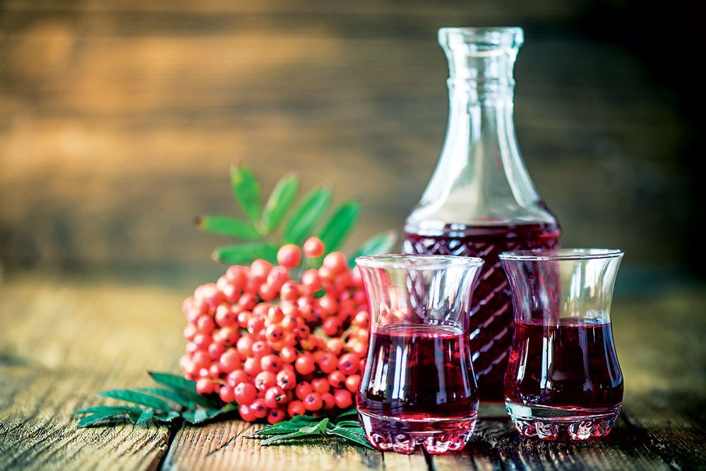 jarabina_shutterstock_478678303