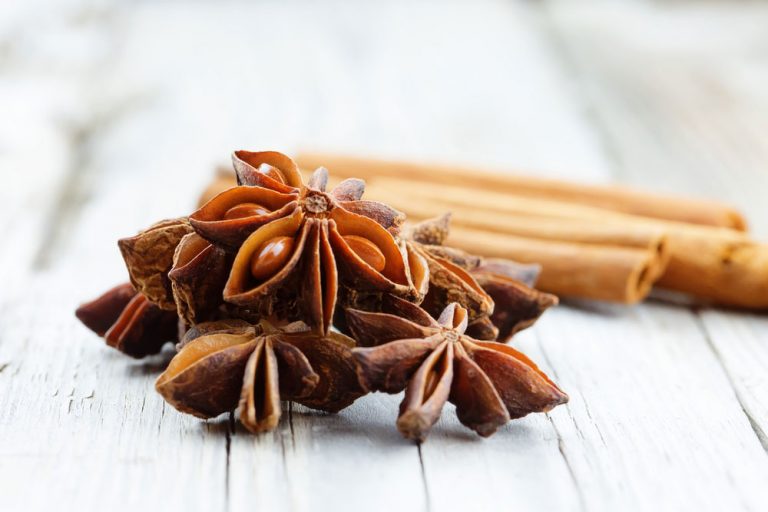 Bez nich nie sú Vianoce Vianocami