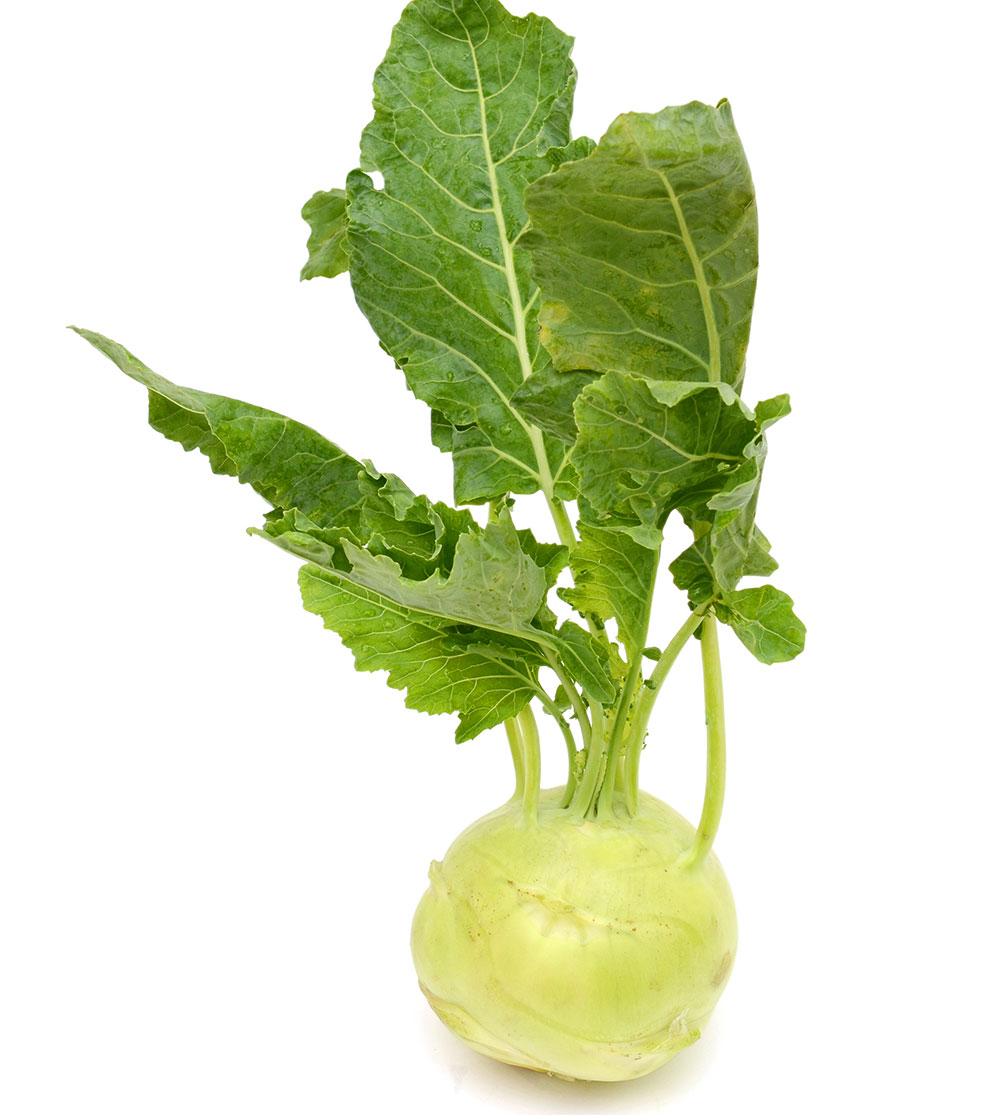 kalerab_shutterstock_583235500