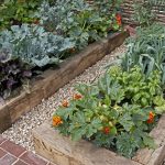 Vyvýšený záhon je jednoduchá stavba s množstvom predností