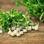 Vyskúšajte recept na prebudenie zo zimnej letargie