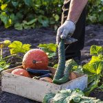 Chceme konzumovať biopotraviny. Oplatí sa ich pestovať?