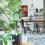 14 rastlín účinných proti jedovatej bytovej chémii