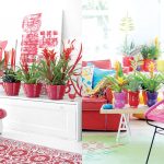 Starostlivosť o exotické bromélie zvládne každý