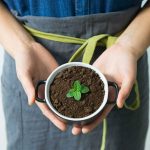 Revitalizácia substrátu: Stačí málo a bude ako nový