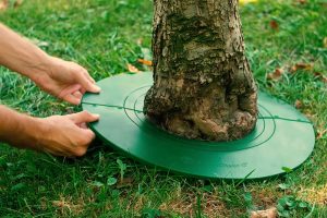 5x veľká a malá ochrana stromov, rastlín Treeguard
