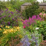 Ako rezať druhy kvitnúce v lete?