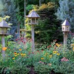 Užitočné vtáky v našej záhrade