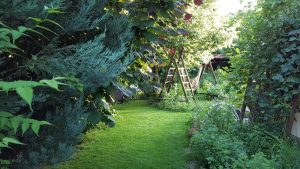 Ekozáhrada, ktorá lieči: Darujte si zdravie z vlastnej záhrady