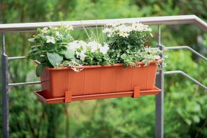 Vytvorte si svoj malý raj na zemi: 6 tipov pre balkónovú záhradu