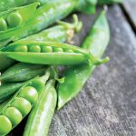 Vypestujme si chutný hrach