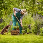 Záhradkár: Tvor šťastný